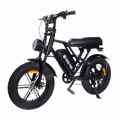 G60 Electric Bike – 1000W Power, 20" Fat Tires, 48V 20AH Battery, 50-60KM Range for Unstoppable Adventures